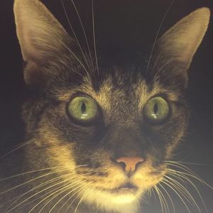 Meet your Posher, Marta